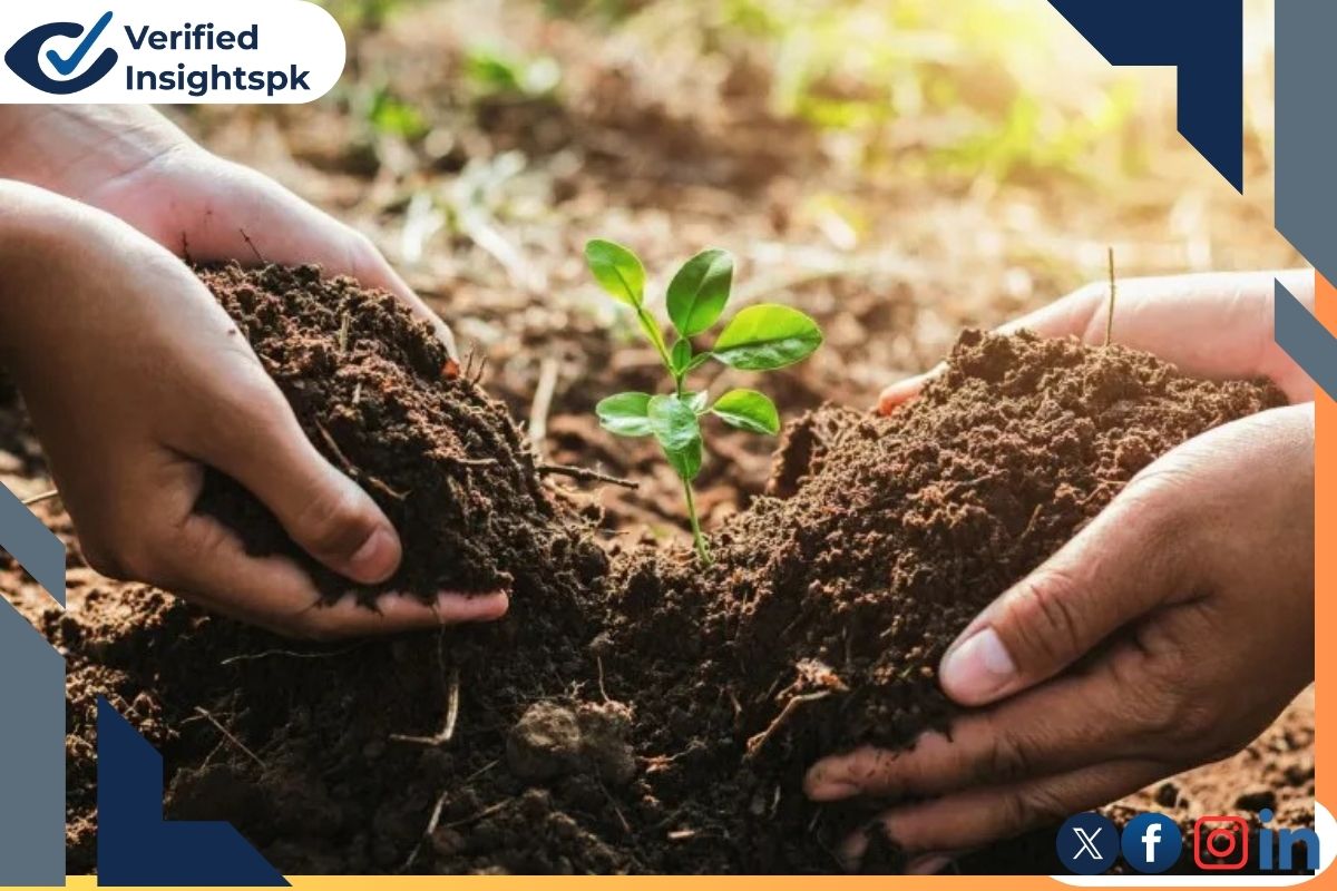 organic food growing help environment to get better