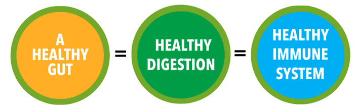 fibre rich vegetables, prebiotics in vegetables, antioxidants for gut,