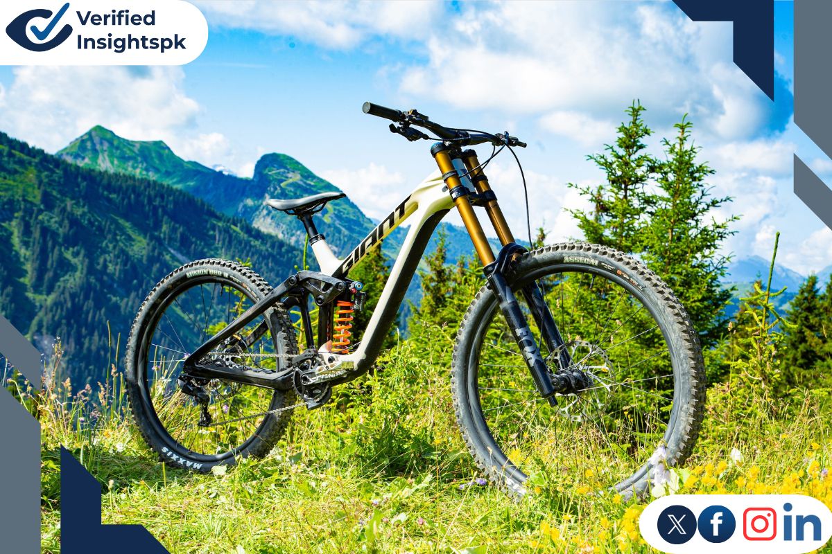 Downhill bikes are made only for going down mountains