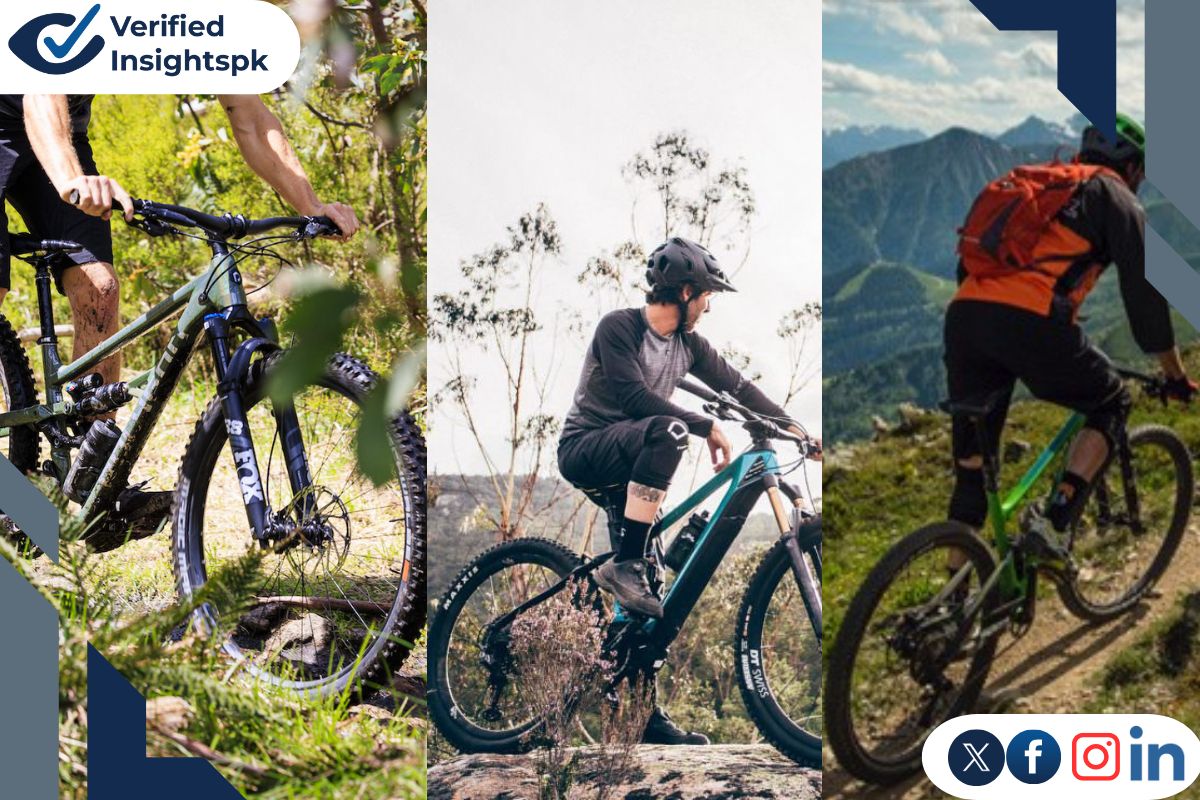 Mountain Bike Buying Guide: Start With the Bas