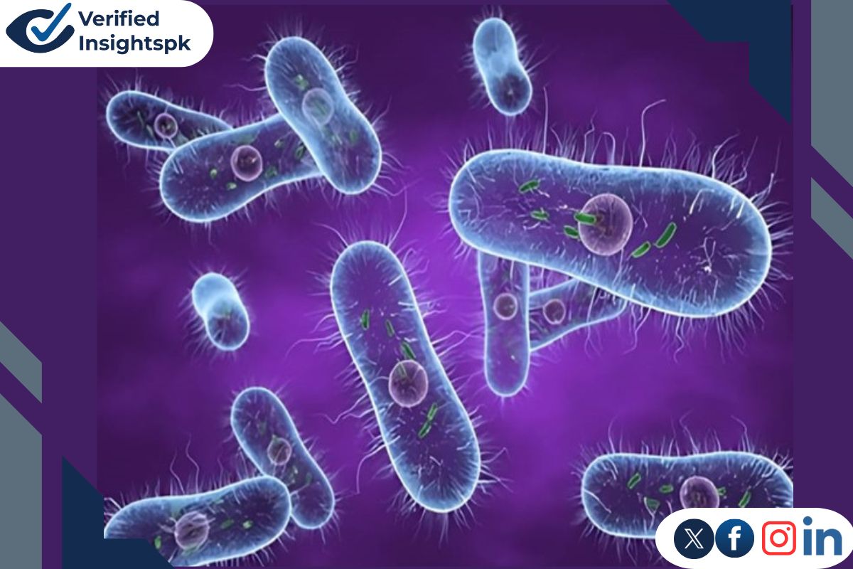 Causes of antibiotics misuse