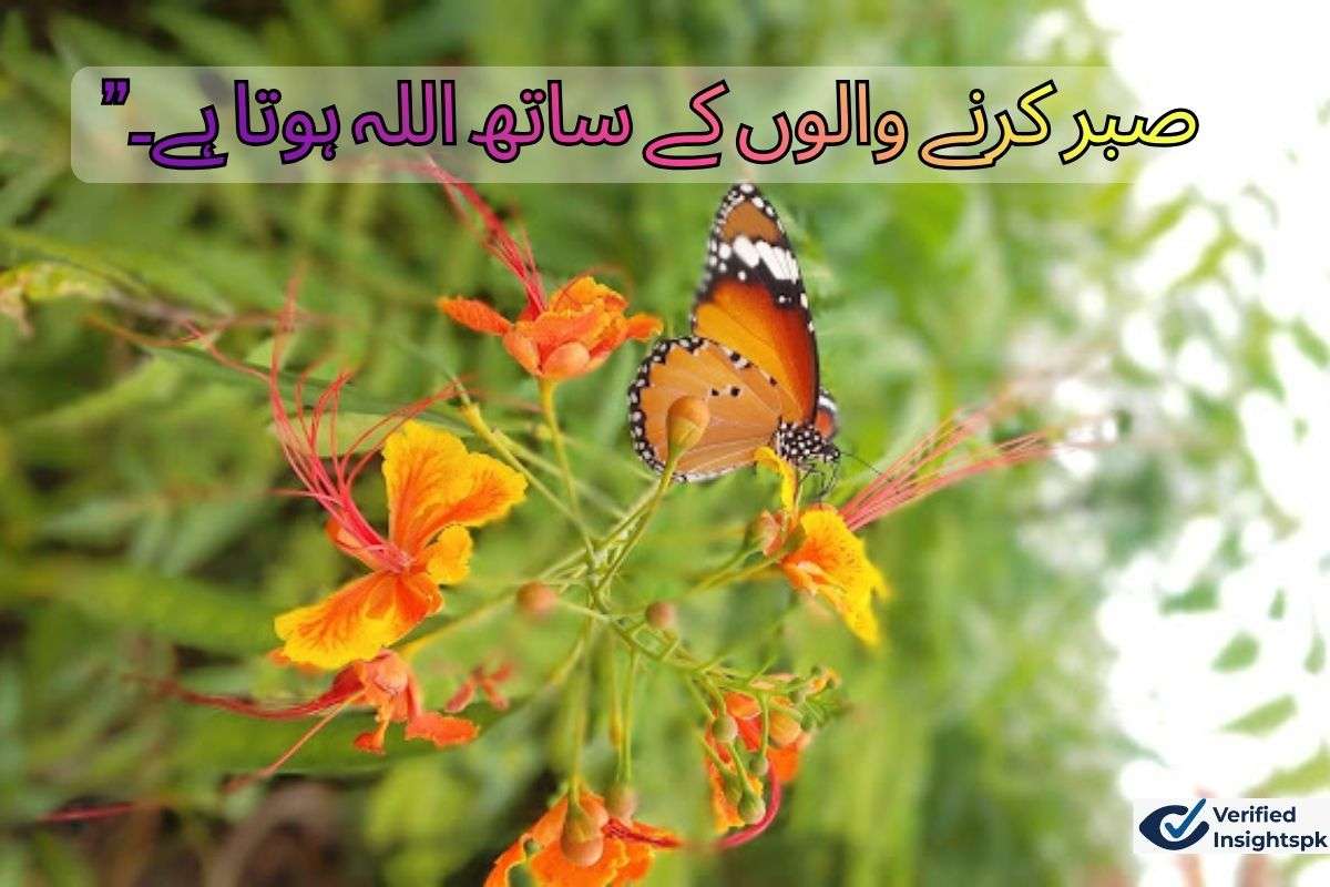 “صبر کرنے والوں کے ساتھ اللہ ہوتا ہے۔”