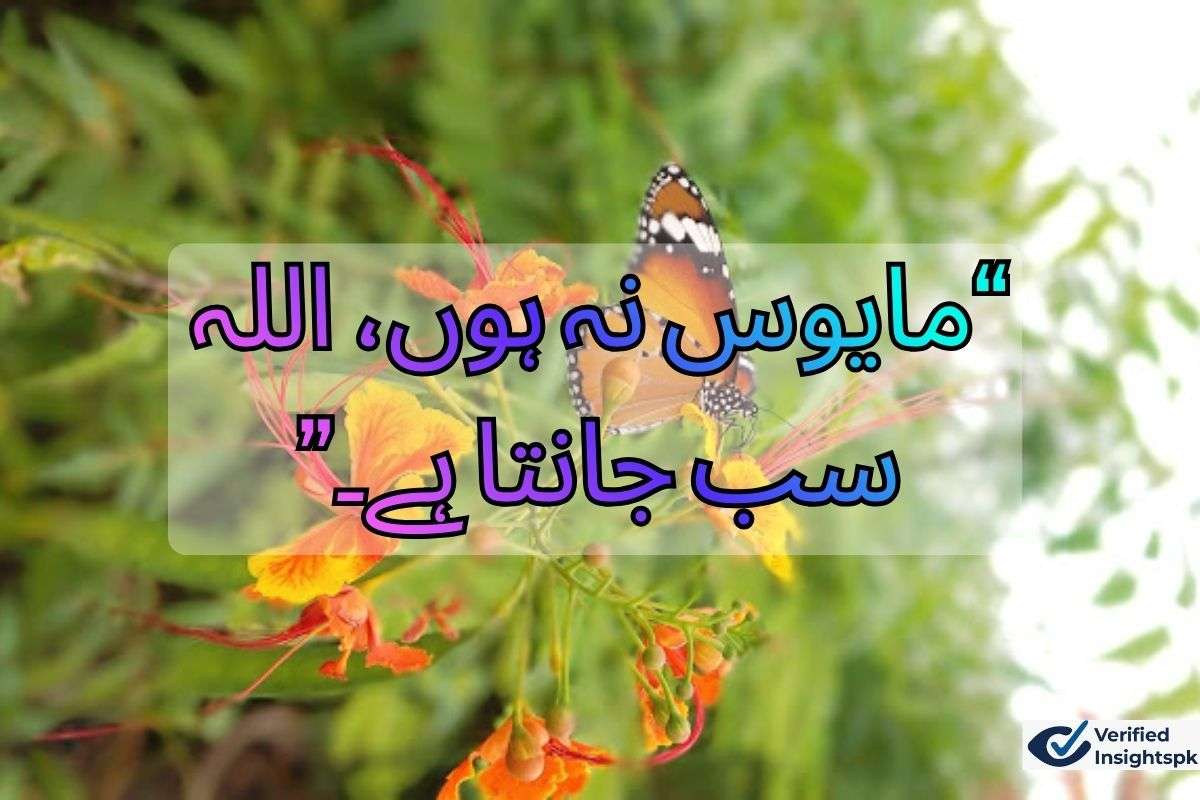  “مایوس نہ ہوں، اللہ سب جانتا ہے۔”